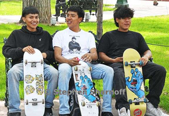 plaza skateboard kids 1 graphic